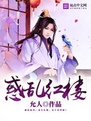 《惑乱红楼》