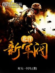 《北洋新军阀》