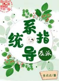 《反派指导系统》