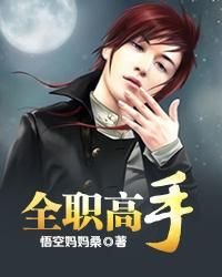 《全职高手》