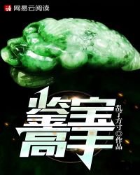 《鉴宝高手》