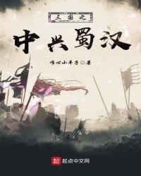《三国之中兴蜀汉》