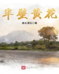 《半壁黄花》