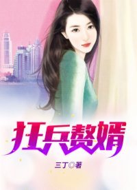 《狂兵赘婿》