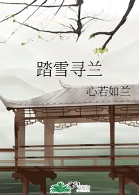《踏雪寻兰》