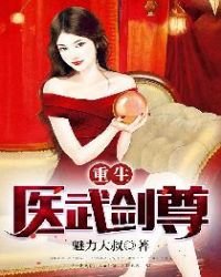 《重生医武剑尊》