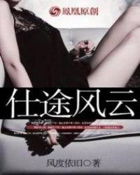 《仕途风云》