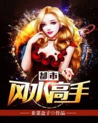 《都市风水高手》