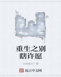 重生之别瞎许愿