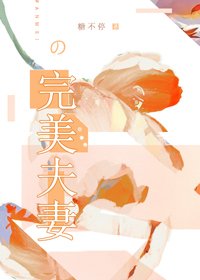 《完美夫妻》
