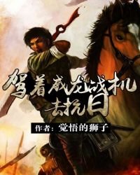 《驾着威龙战机去抗日》