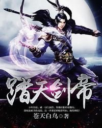 《踏天剑帝》