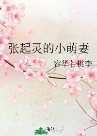 张起灵的小萌妻[ＢＧ同人]