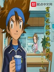 《穿梭无限的数码骑士》