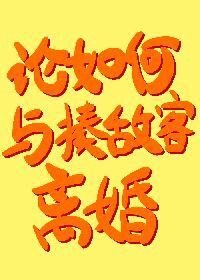 《(综漫同人)论如何与揍敌客离婚》