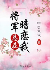《将军总在暗恋我》