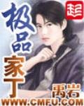 《极品家丁》