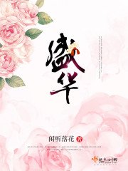 《盛华》