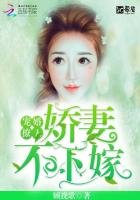 《宠婚撩人:娇妻不下嫁》