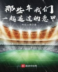 《那些年我们一起追过的意甲》