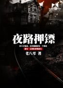 《夜路押镖》