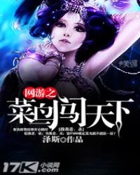 《网游之菜鸟闯天下》
