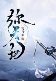 《弥天记》