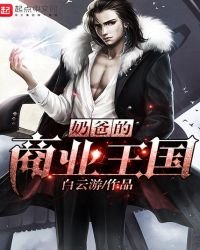 《奶爸的商业王国》