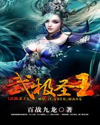 《武极圣王》