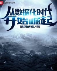 《从数据化时代开始崛起》