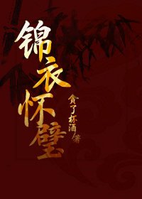 《锦衣怀璧》