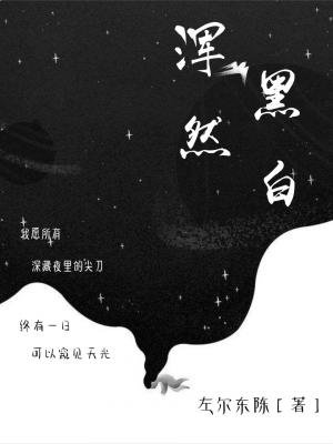 《浑然黑白》