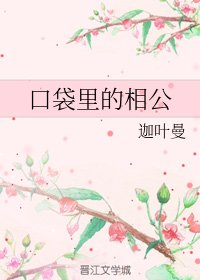 《口袋里的相公》