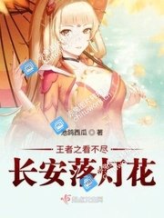 《王者之看不尽长安落灯花》
