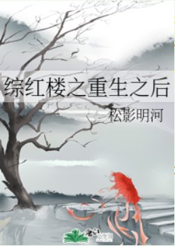 《(综同人)综红楼之重生之后》
