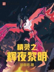 《(宠物小精灵)精灵之辉夜黎明》