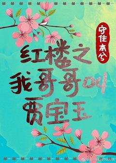 《(红楼同人)红楼之我哥哥叫贾宝玉》