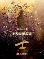 《英俊的黑骑士》