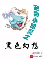 《(精灵宝可梦同人)精灵之黑色幻想》