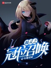《(精灵宝可梦同人)精灵之冠位召唤》