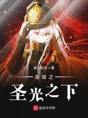 《(海贼王同人)海贼之圣光之下》