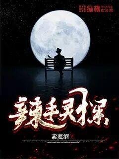《辣手灵探》