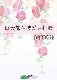 《每天都在被爱豆打脸》