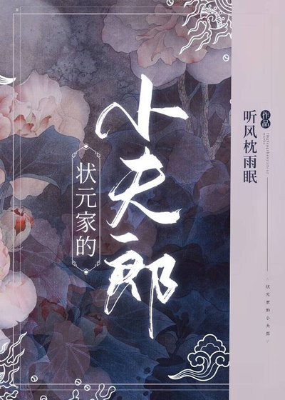 状元家的小夫郎