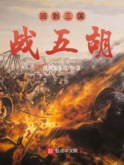 《回到三国战五胡》