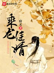 《乘龙佳婿》