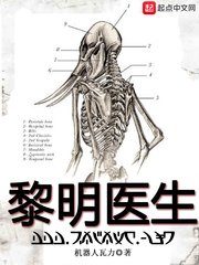 《黎明医生(瘟疫医生)》