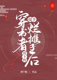 《接手穿书者留下的烂摊子后》