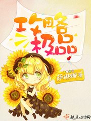 《攻略极品》