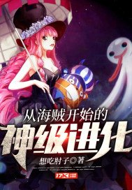 《从海贼开始的神级进化》